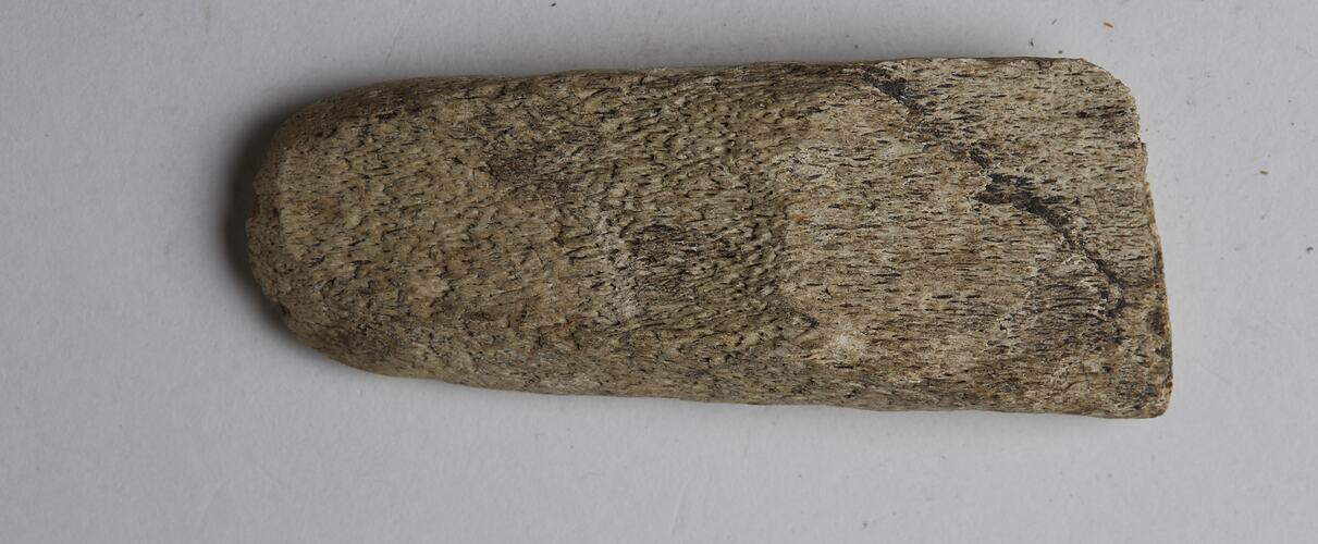 Bone wedge collected from a kitchen midden on Navarino Island, Chile between May and June 1929.