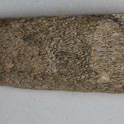 Bone wedge collected from a kitchen midden on Navarino Island, Chile between May and June 1929.