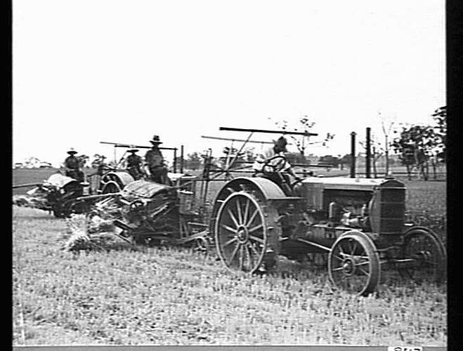 2 MASSEY HARRIS TRACTORS HAULING BINDERS ON E. R. PAECH'S FARM, WALLA WALLA, N.S.W.: DEC 1938