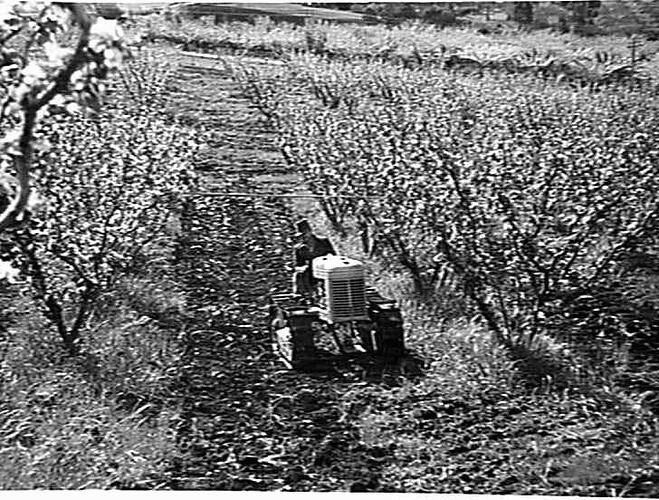 H.G. `CLETRAC' & 4-FUR `HARVEY' PLOUGH, ROSE BROS., HUON RIVER, TAS: NOV 1941