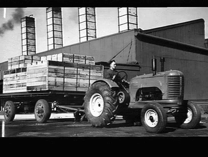 Photograph Hv Mckay Massey Harris Farm Equipment Manufacture And Field Trials Sunshine