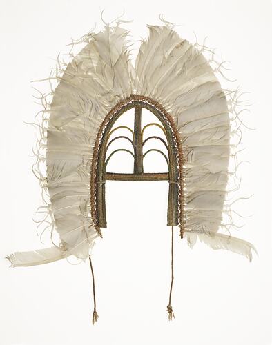 Indigenous collections