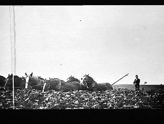 Photograph - H. V. McKay factory and/or equipment