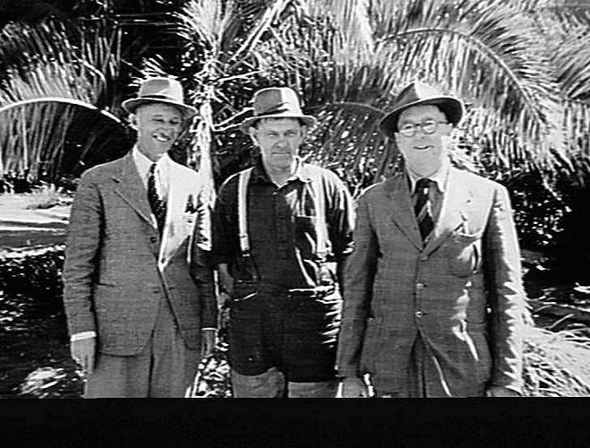 MR. H. KLOSE (LEFT) AND MR. R. HARWOOD (RIGHT) PAID A VISIT TO MR. E.B. SCHELLING (CENTRE) AND INSPECTED HIS HARVESTING OPERATIONS AT MOONTA, SOUTH AUSTRALIA: `SUNSHINE REVIEW': MARCH 1949