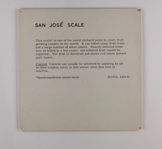 White square label with black text.