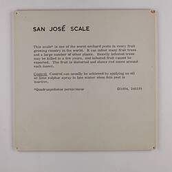 Exhibition Label - San Jose Scale, Industrial & Technological Museum, Melbourne, circa 1940