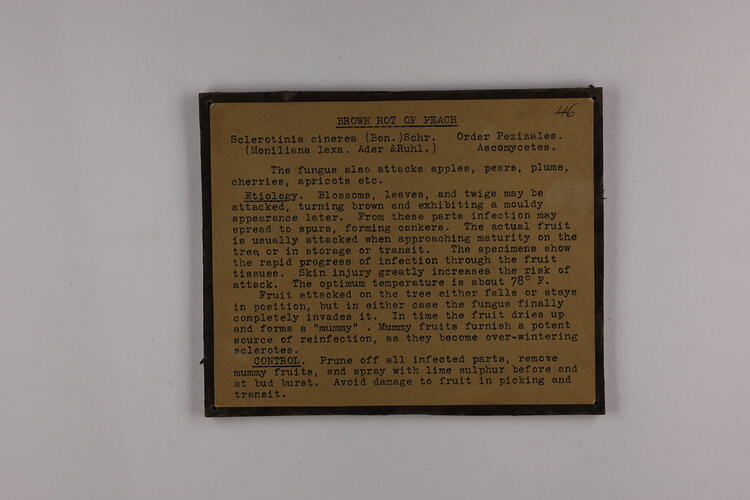 Brown rectangular label with black text and brown border.