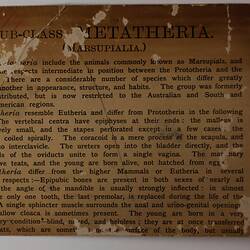 Back of a label showing reu-use of an old text label.
