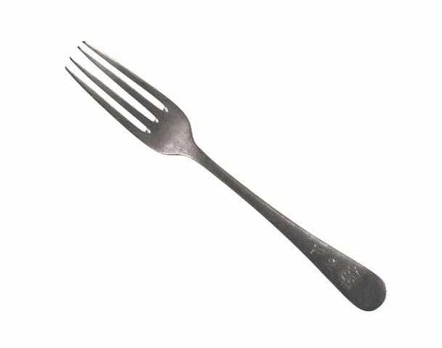 Silver dinner fork.