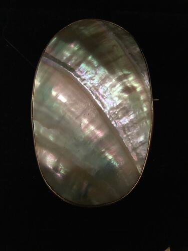 Oval mother of pearl brooch with natural curved surface ridges. Thin gold setting.