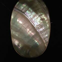 Brooch - G.H. Palfrey, Mother of Pearl, Melbourne, Victoria, circa 1900