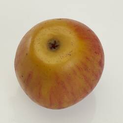 Red and yellow wax apple model.