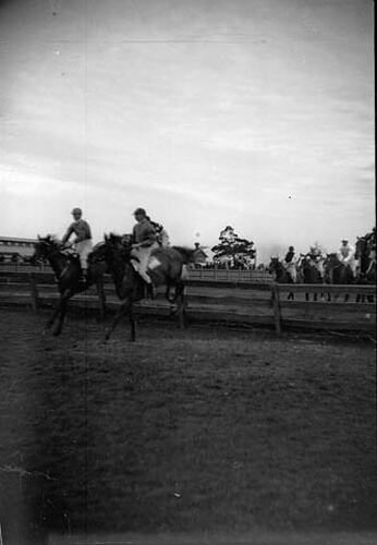 Stereograph - Glass, Steeplechase, Federation Celebrations, 1901