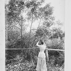Photograph - by A.J. Campbell, Victoria, circa 1890