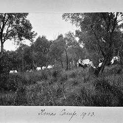 Photograph - 'Xmas Camp', by A.J. Campbell, Lysterfield, Victoria, 1903