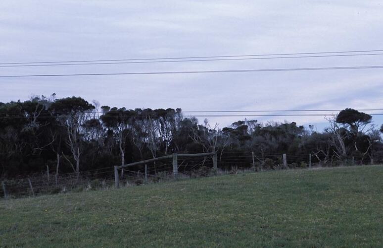 MM 028512 Power lines. Melbourne Coastal Radio Station, Cape Schanck, Victoria