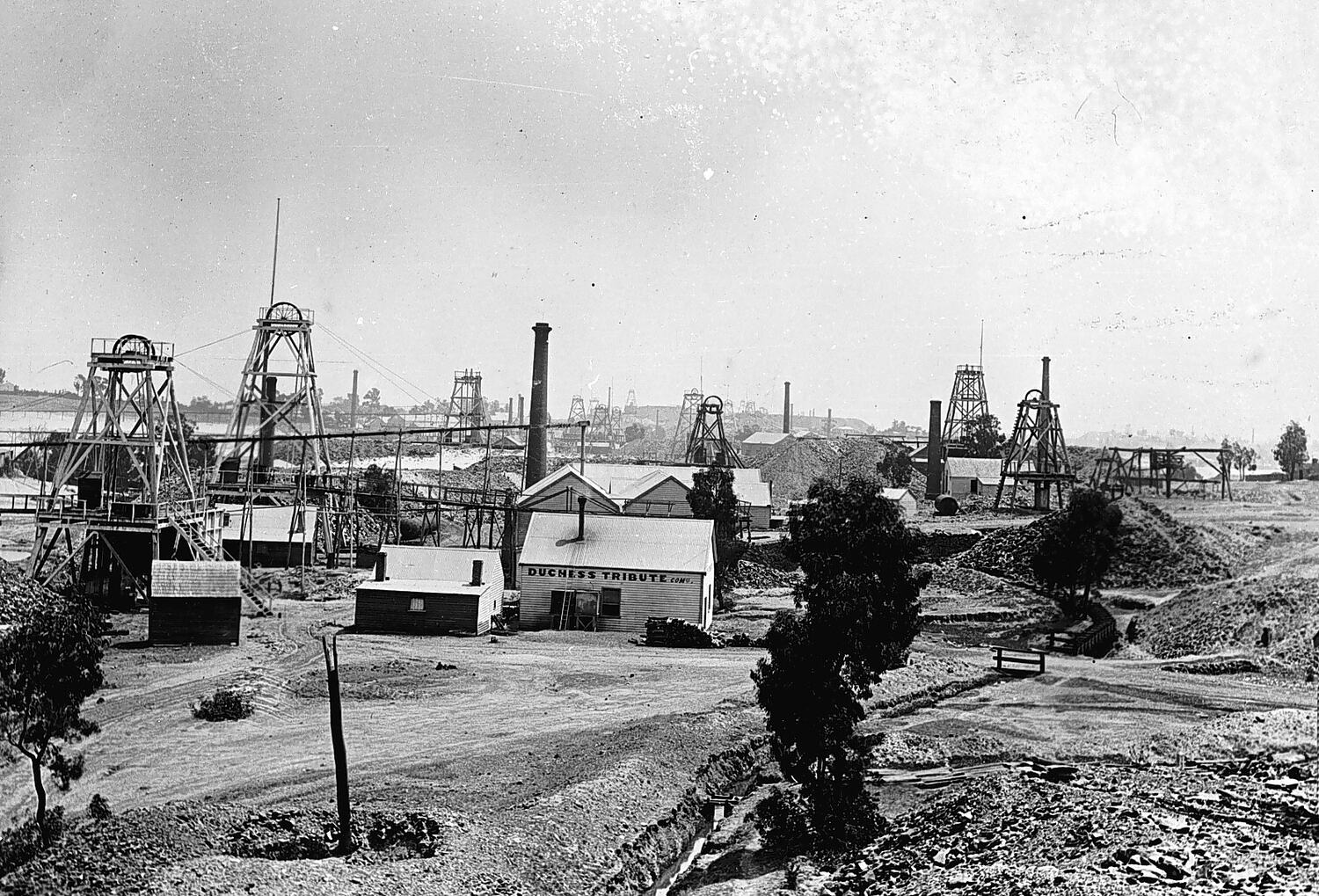 Negative California Gully, Bendigo, Victoria, circa 1895