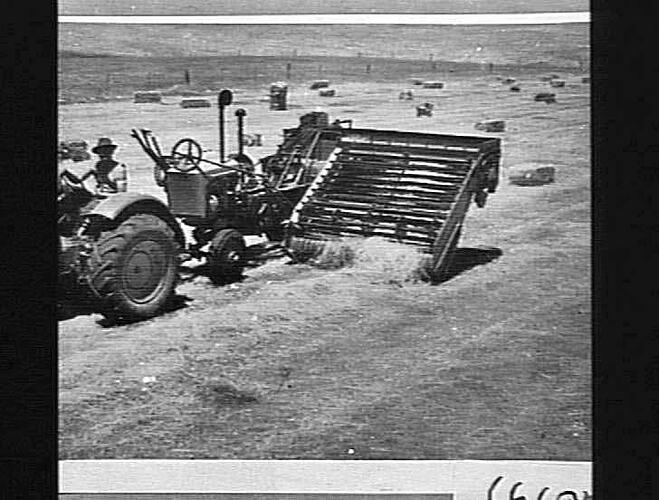 Photograph - H. V. McKay factory and/or equipment