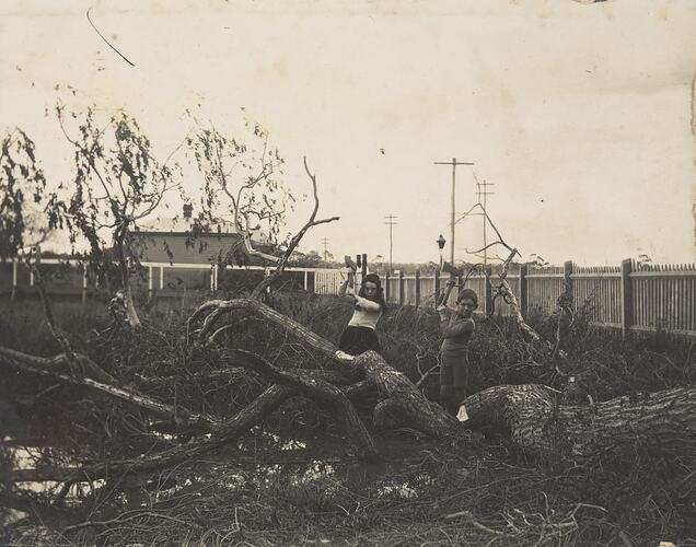 Digital Photograph - Boy & Girl Chopping up Fallen Tree, Farmhouse Yard, Won Wron, circa 1912