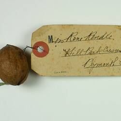 Walnut - Women's Work Exhibition, 1907