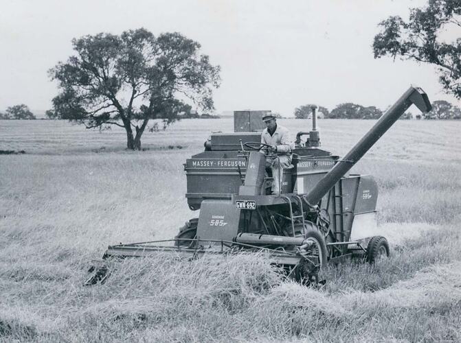 Man driving a harvester in field of down crop.
