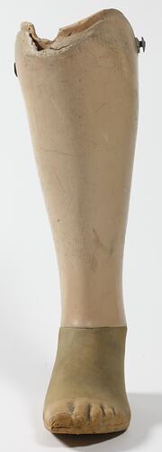 Front view of prosthetic leg.