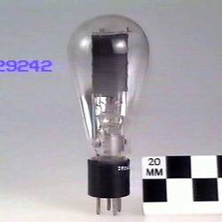 Electronic Valve - Western Electric, Tetrode, Type 281A, 1930s