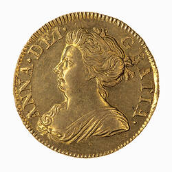 Coin - Half-Guinea, Queen Anne, Great Britain, 1713 (Obverse)