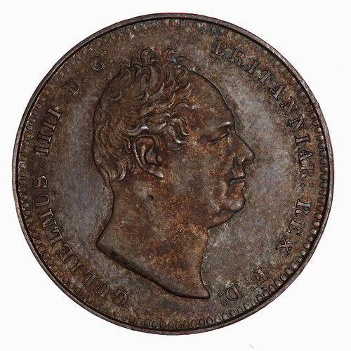 Proof Coin - Shilling, William IV, Great Britain, 1831 (Obverse)