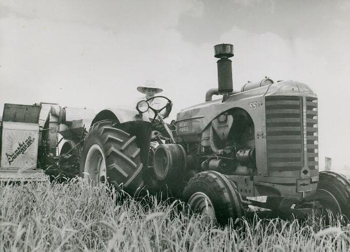 Man driving a tractor coupled to a harvester, through crop of barley.
