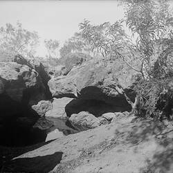 Glass plate. Warumungu. Tennant Creek, Central Australia, Northern Territory, Australia. /07/1901 - /09/1901