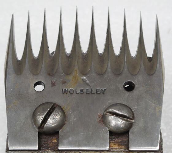 Comb - Wolseley, Narrow Gauge, Convex, 1900-30