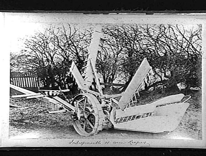 Photograph