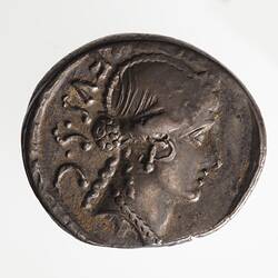 Coin - Denarius, MN. CORDIVS RVFVS, Ancient Roman Republic, 46 BC