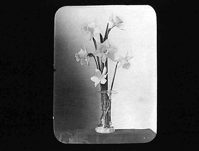 Lantern Slide