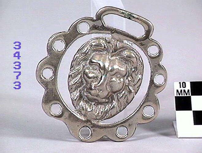 Horse Brass