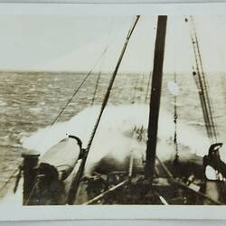 Photograph - Stern of Ship at Sea, pre 1961
