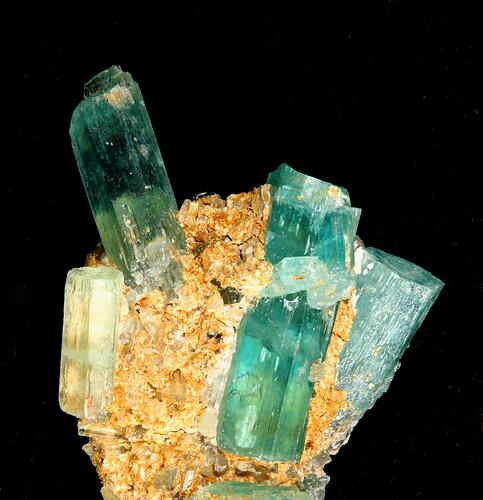 Beryl. [M 44528]