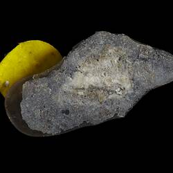 Serra de Mage Meteorite. [E 18865]