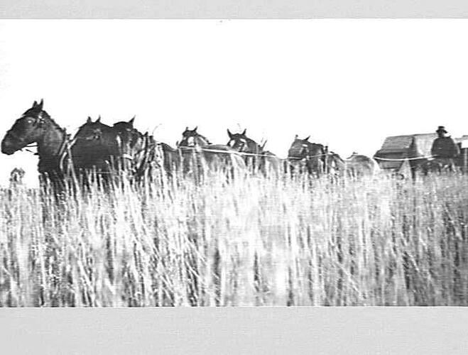 Photograph - H. V. McKay factory and/or equipment