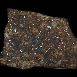 Hamilton Meteorite. [E 4289]