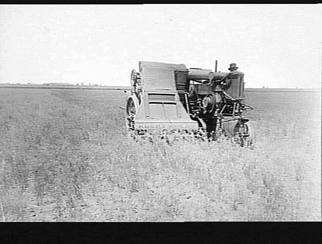 SUNSHINE AUTO HARVESTER. TYPE SENT TO SPAIN 1916. H ANDRAWOTHA? DRIVING