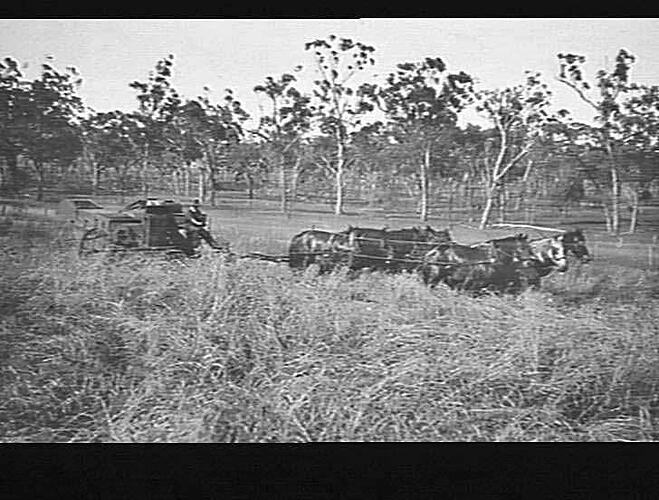 Photograph - H. V. McKay factory and/or equipment