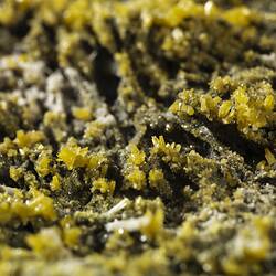 Pyromorphite. [M 53451]