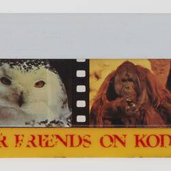 Ruler - Kodak Australasia Pty Ltd, 'Capture Your Friends On Kodak Film', 1980s