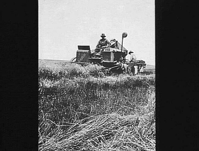 AUTO HEADER AT WORK IN U.S.A. 1928 SEASON