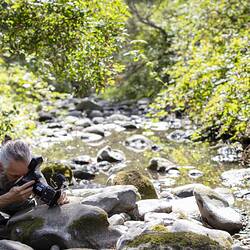Curator Julian Finn taking photo in river.