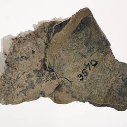 Underside of Calcite mineral showing registration number.