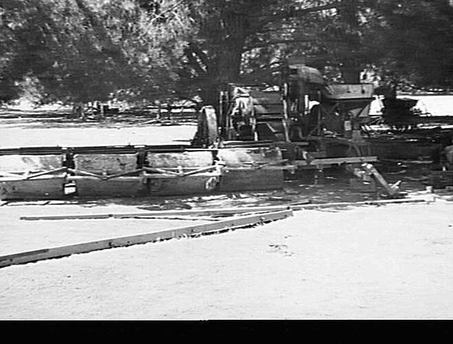 OLD SPUR GEAR HEADER FITTED WITH ENGINE AND SHEEPSKIN ROLLERS FOR HARVESTING OF SUB. CLOVER: DEC 1948