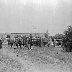 Negative - Euston District, New South Wales, circa 1900